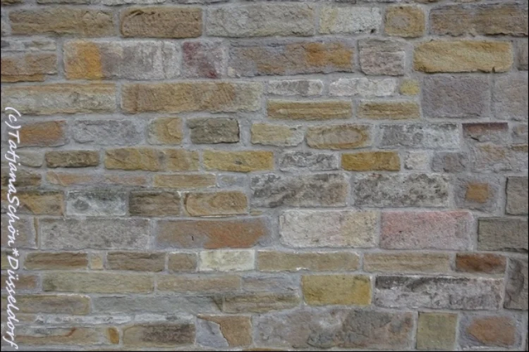 (книги, путешествия, жизнь :-)