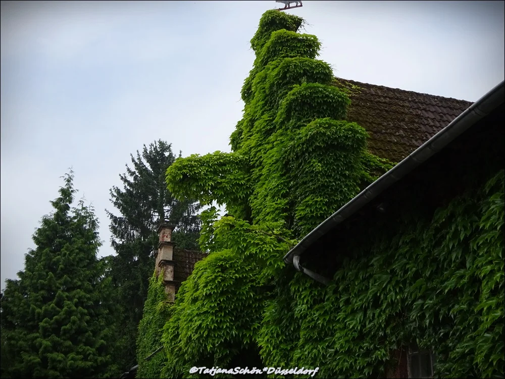 Дюссельдорф-Гарат