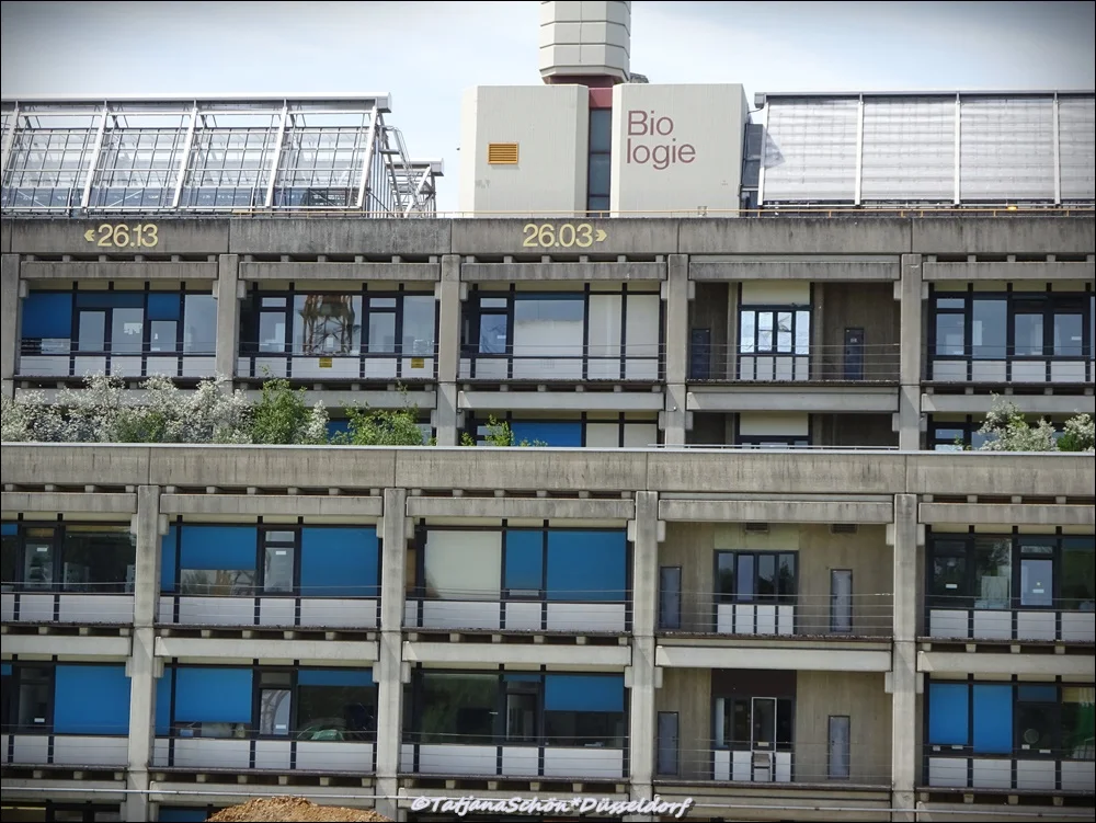 Биологический факультет университета Дюссельдорфа