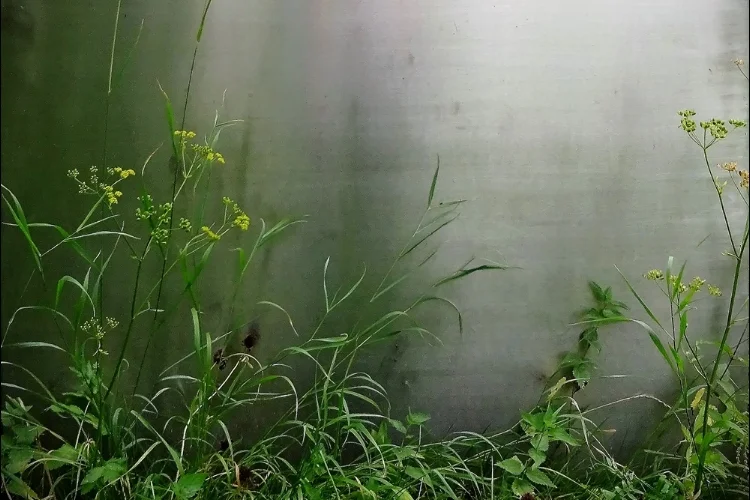 Архитектон в деревне