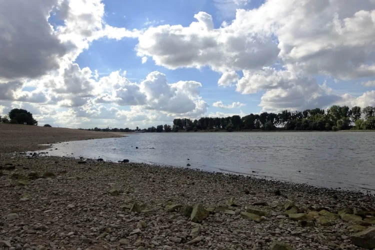 Отдых на Рейне