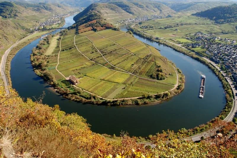 Запасаясь вином на зиму