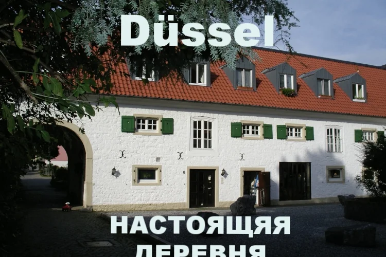 Настоящий Дюссель