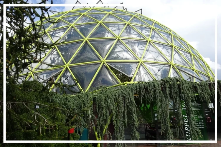 ДЮССЕЛЬДОРФ-УНИ Дюссельдорф университетский и ботанический космос (в саду)