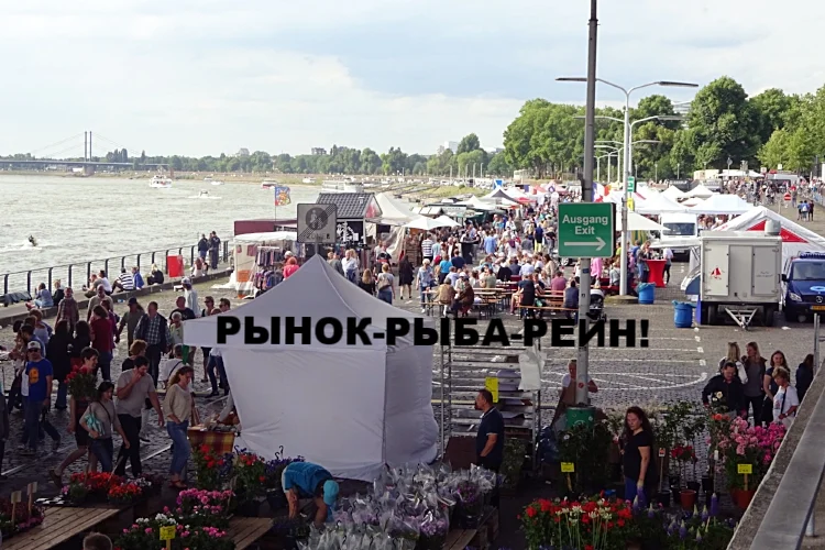 Фишмаркт