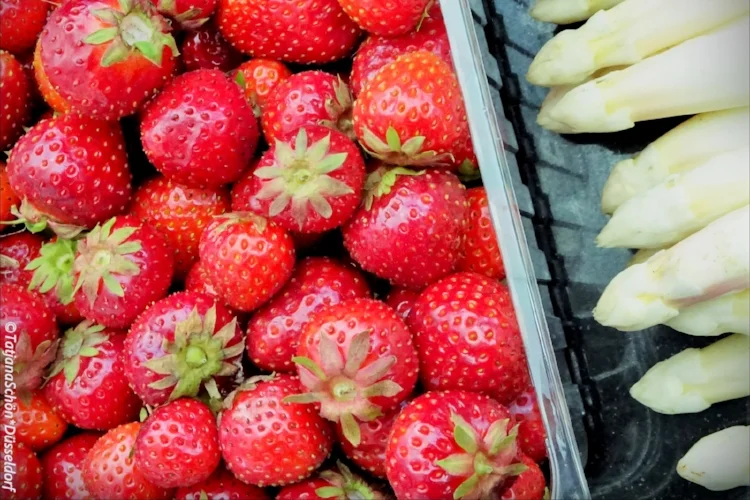 Альбом 6*2017 (июнь)