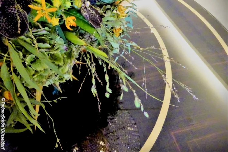 Альбом 8*2017 (август)