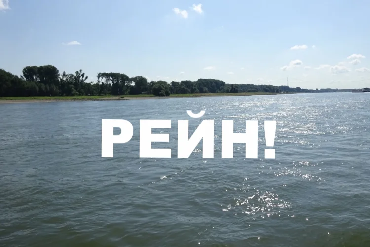 На берегу реки