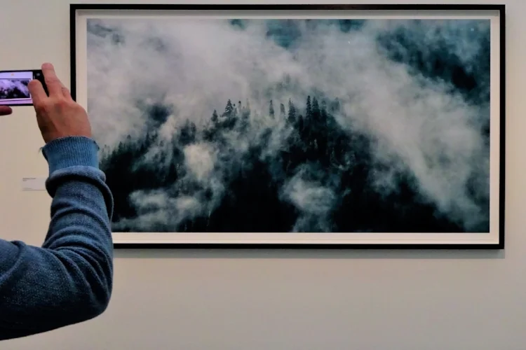 Фотографии с выставки