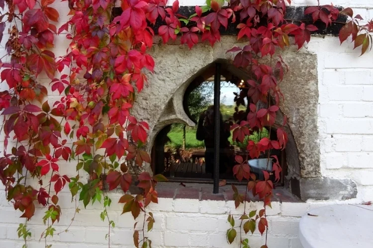 🍂Альбом 10/2017 (октябрь)