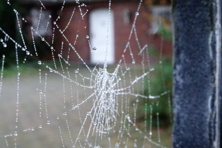 Альбом 12*2017 ❄️