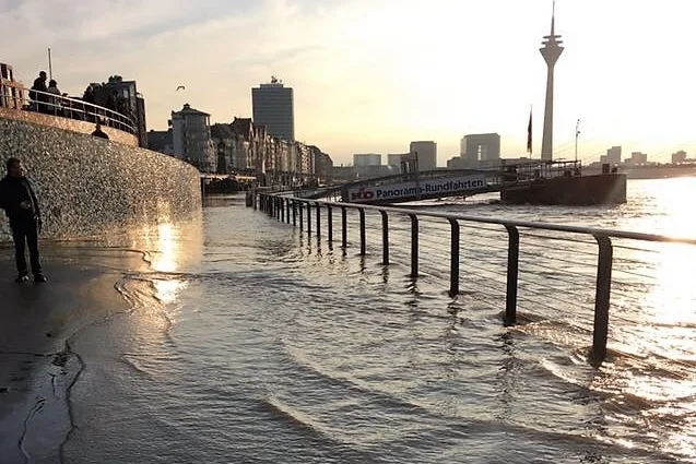 Альбом 2018*1 (январь)