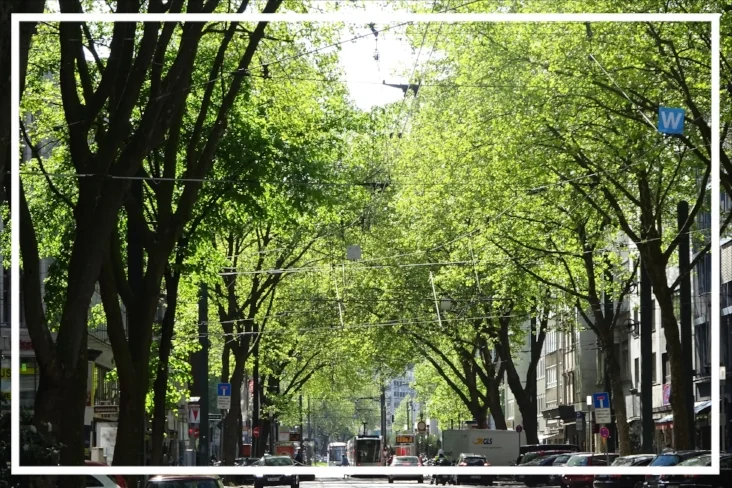 нетуристический центральный уголок Дюссельдорфа