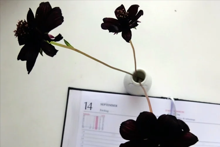 Альбом 9*2018 (сентябрь)