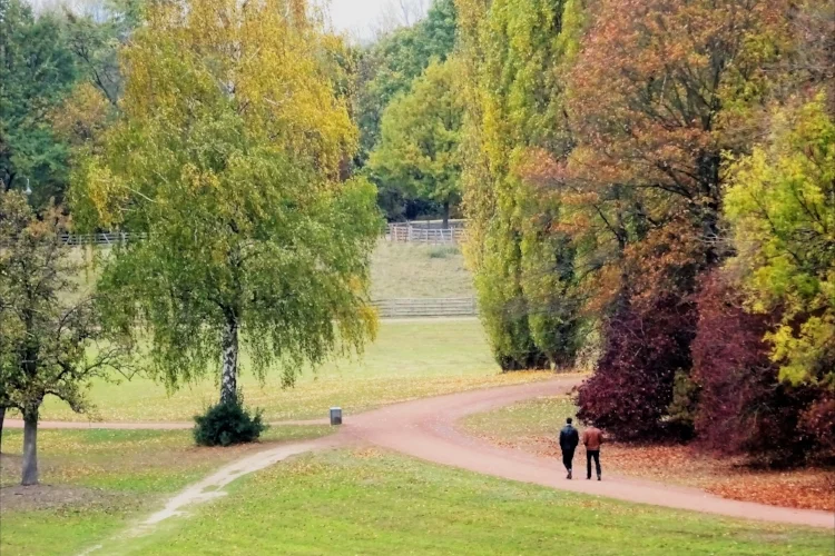 Вы собираетесь приехать в Дюссельдорф в октябре?