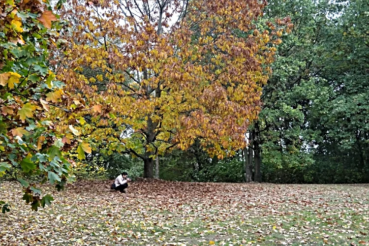 Пешком по городу