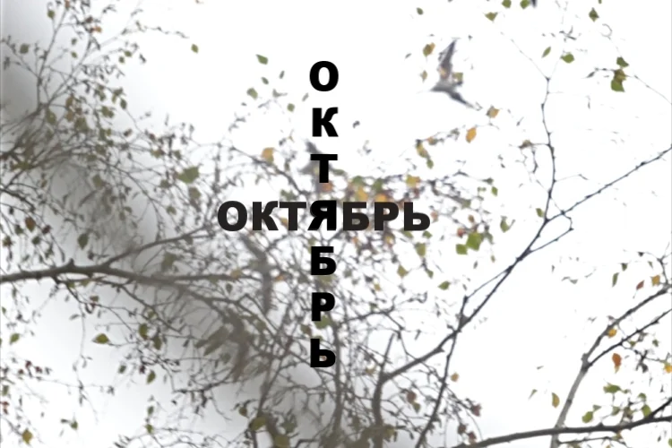 Альбом 10*2018 (октябрь)
