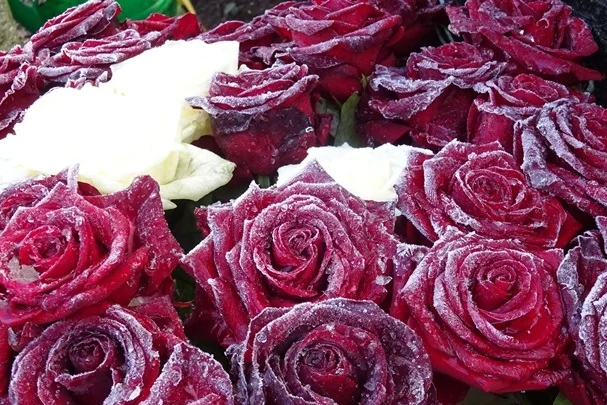 Старонемецкая история