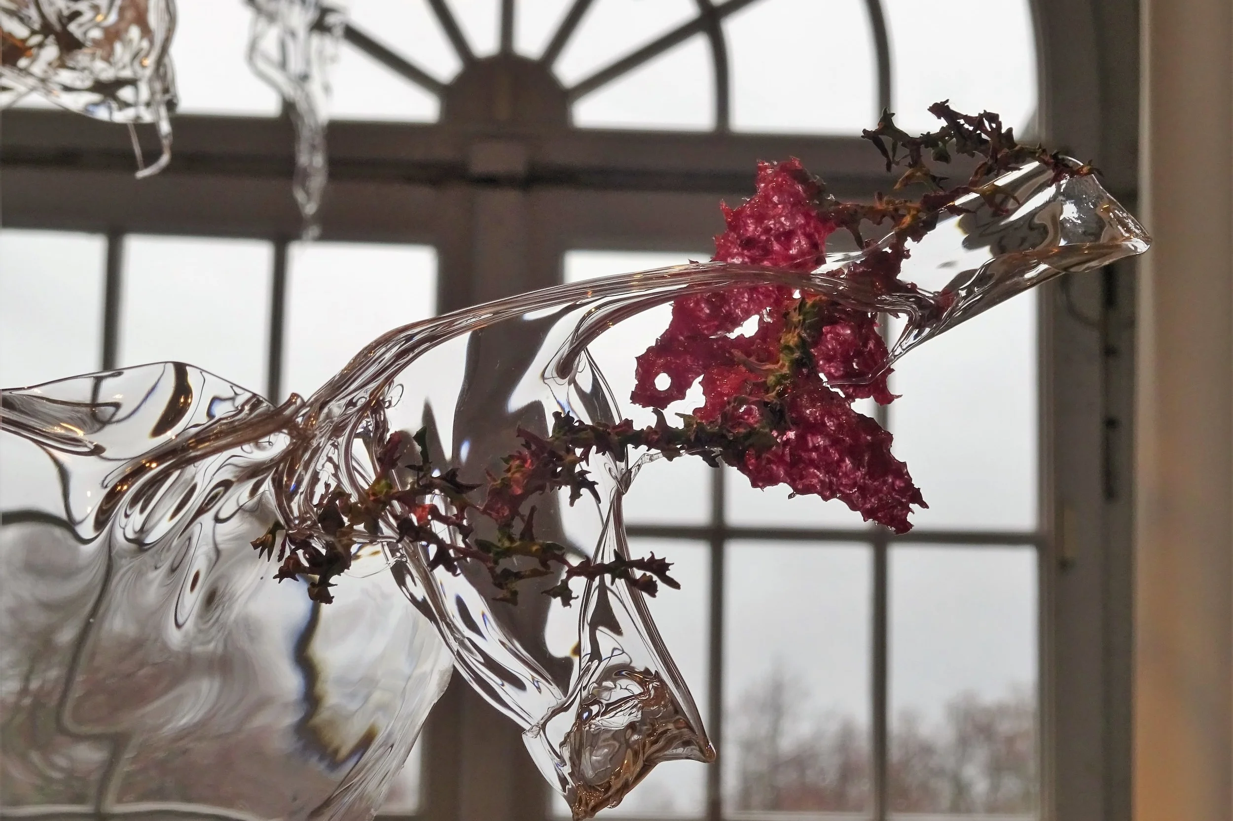 Художественная выставка инсталляция