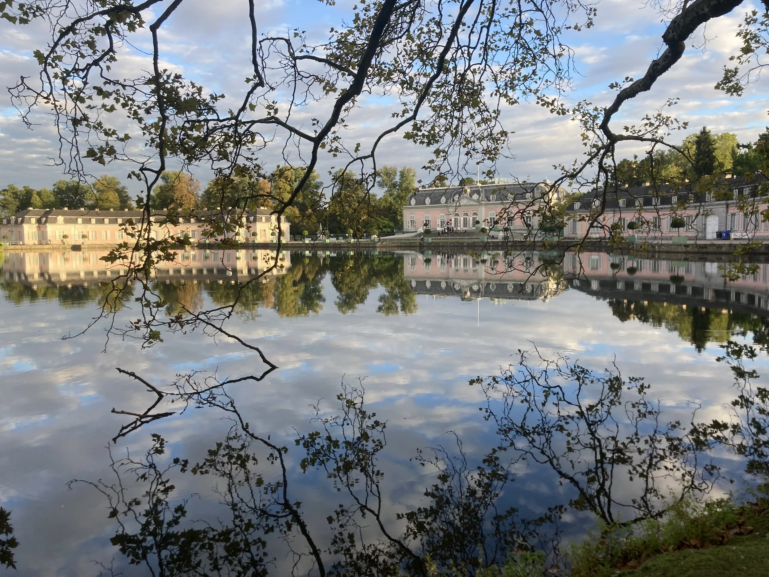 IMG_0552.jpeg
