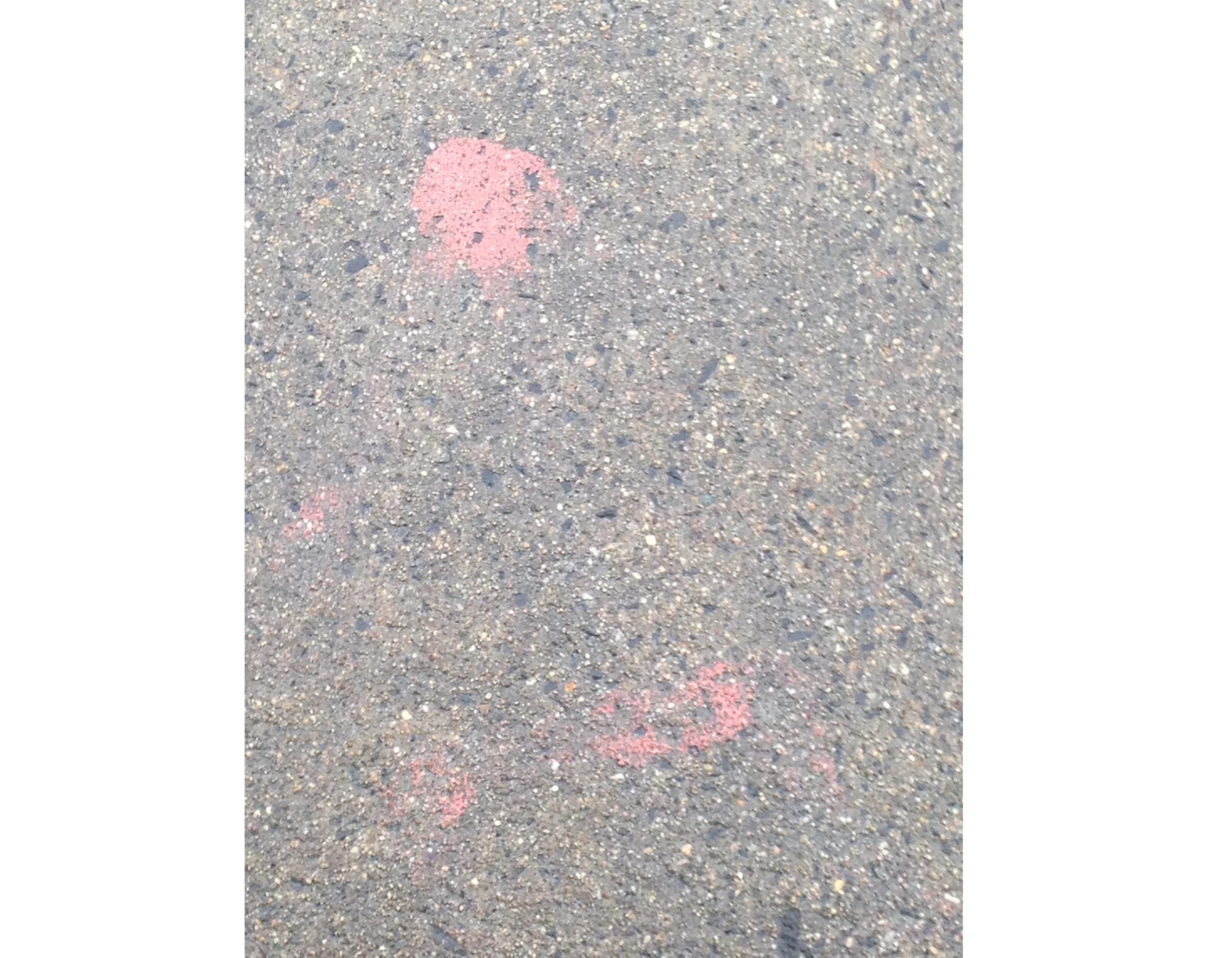Trace, 2017
