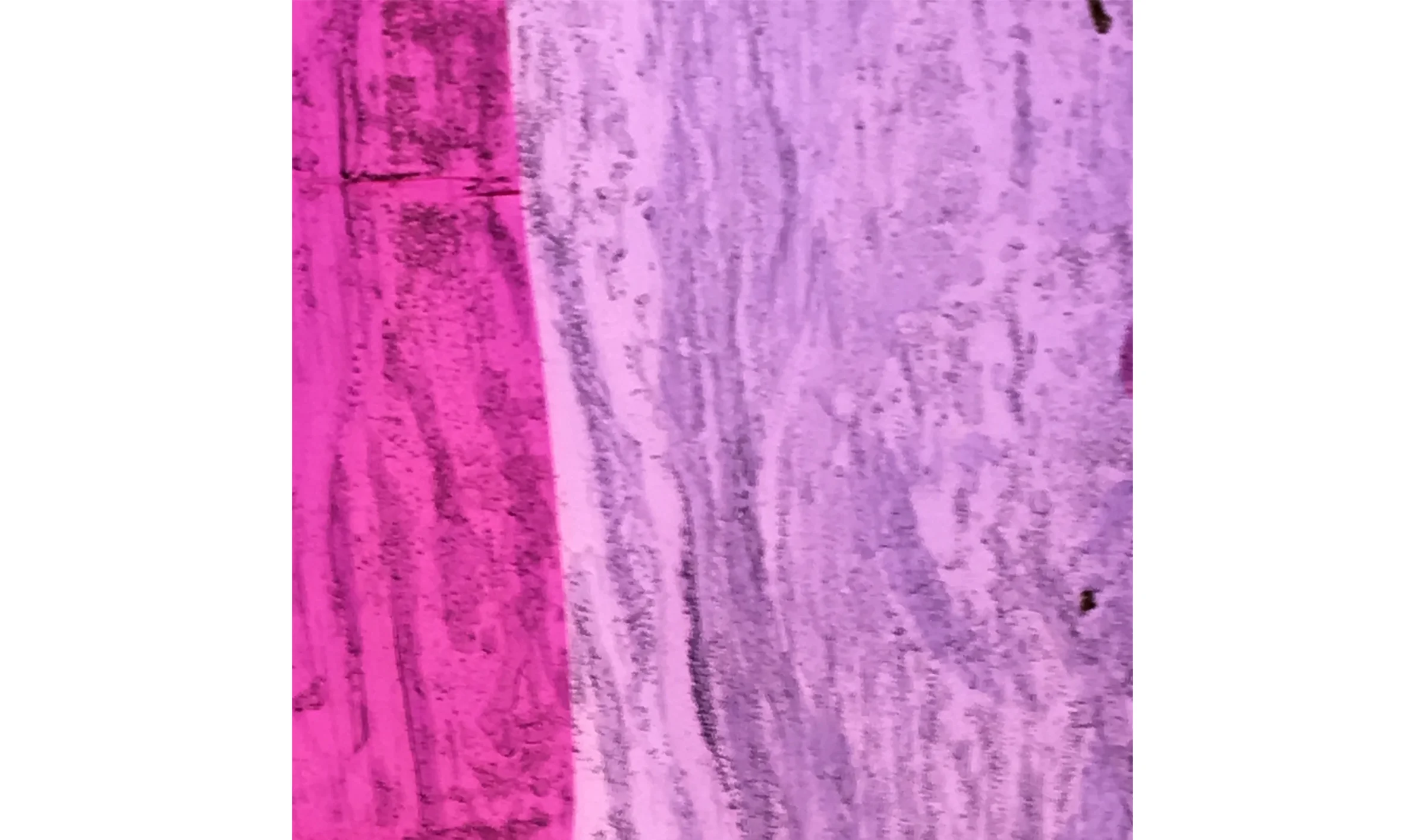 Crinkle, 2017