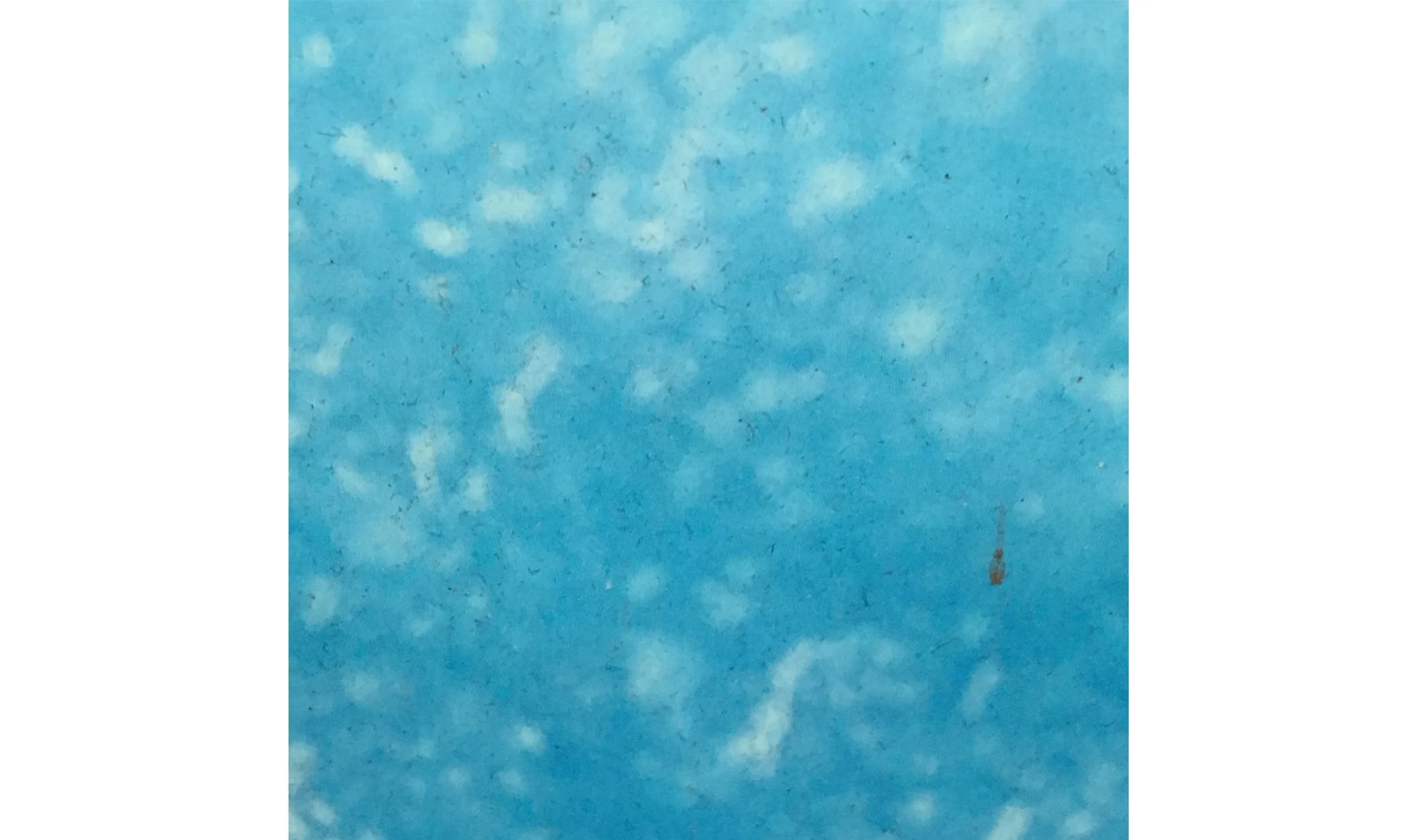 L'Aqua Lush, 2017