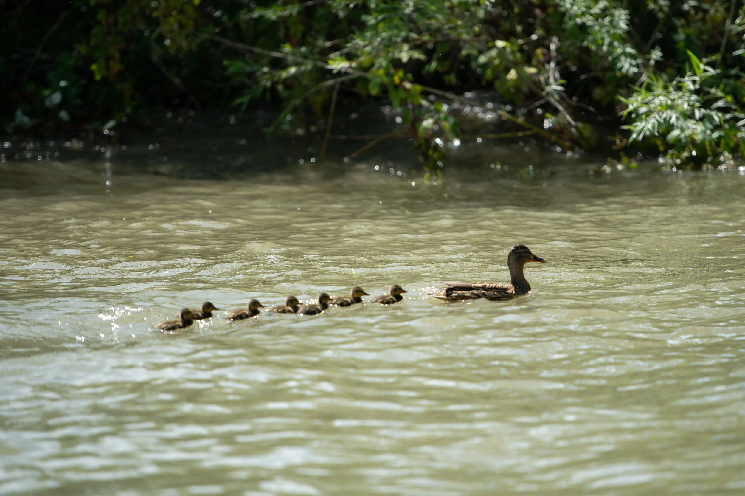 famille_miguel-0046.jpg