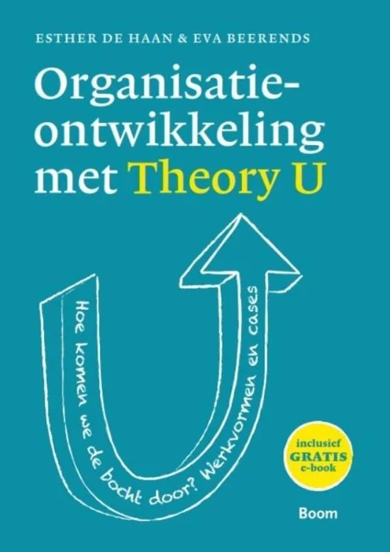 Organisatieontwikkeling met Theory U.jpg