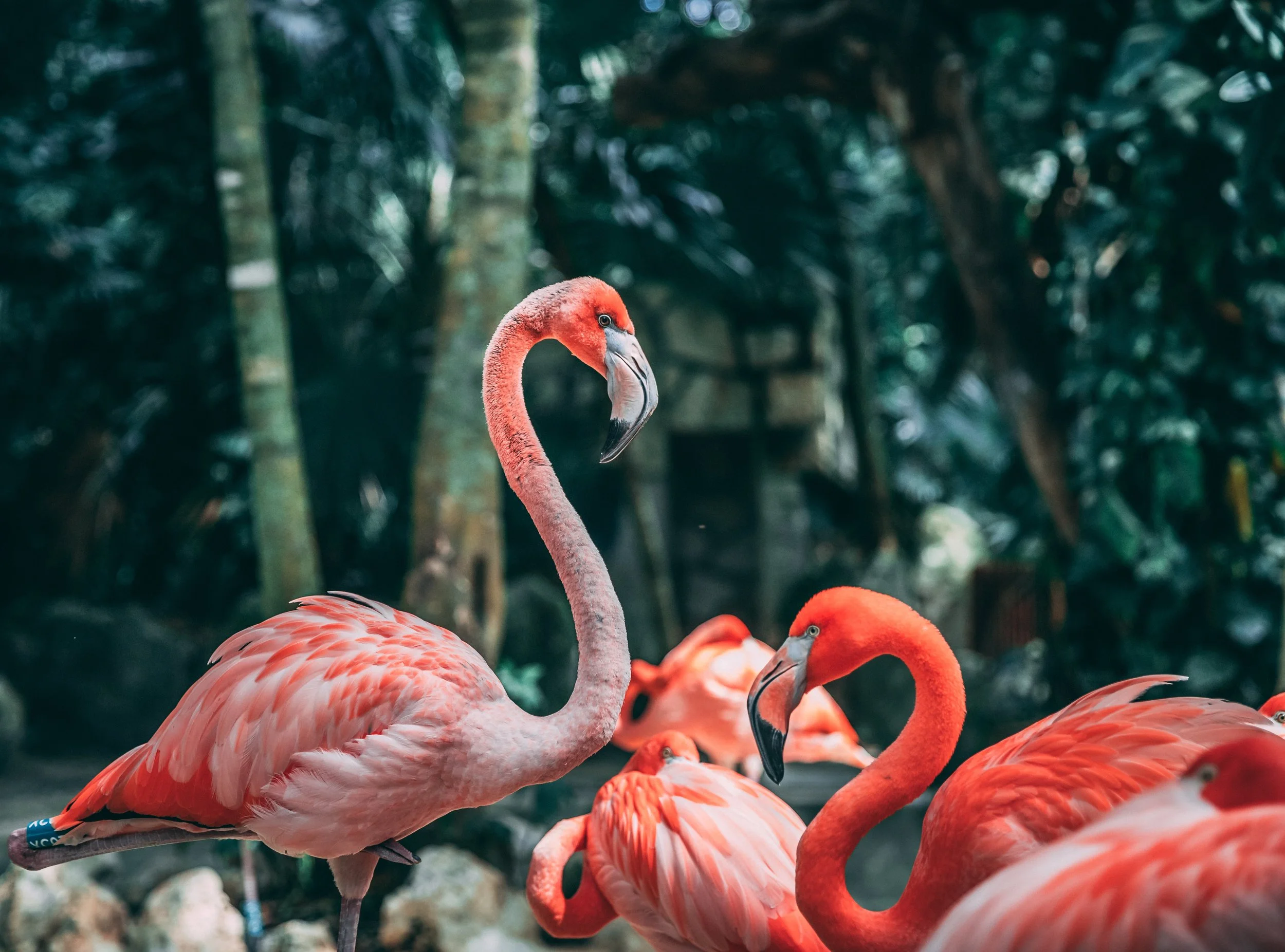 yucel-moran-Of2B9rKvVbA-unsplash.jpg