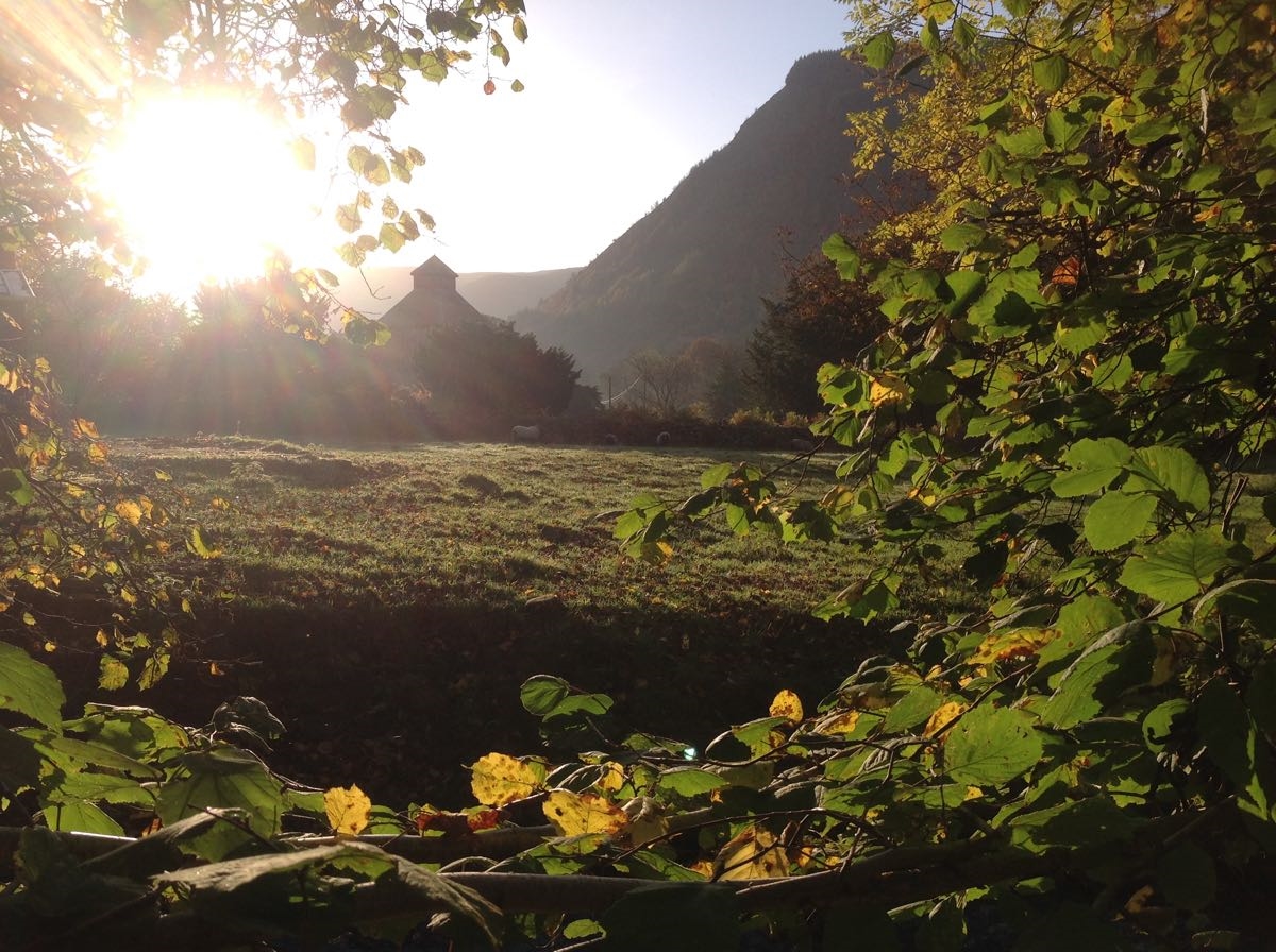 "He makes me lie down in green pastures" Psalm 23:2
