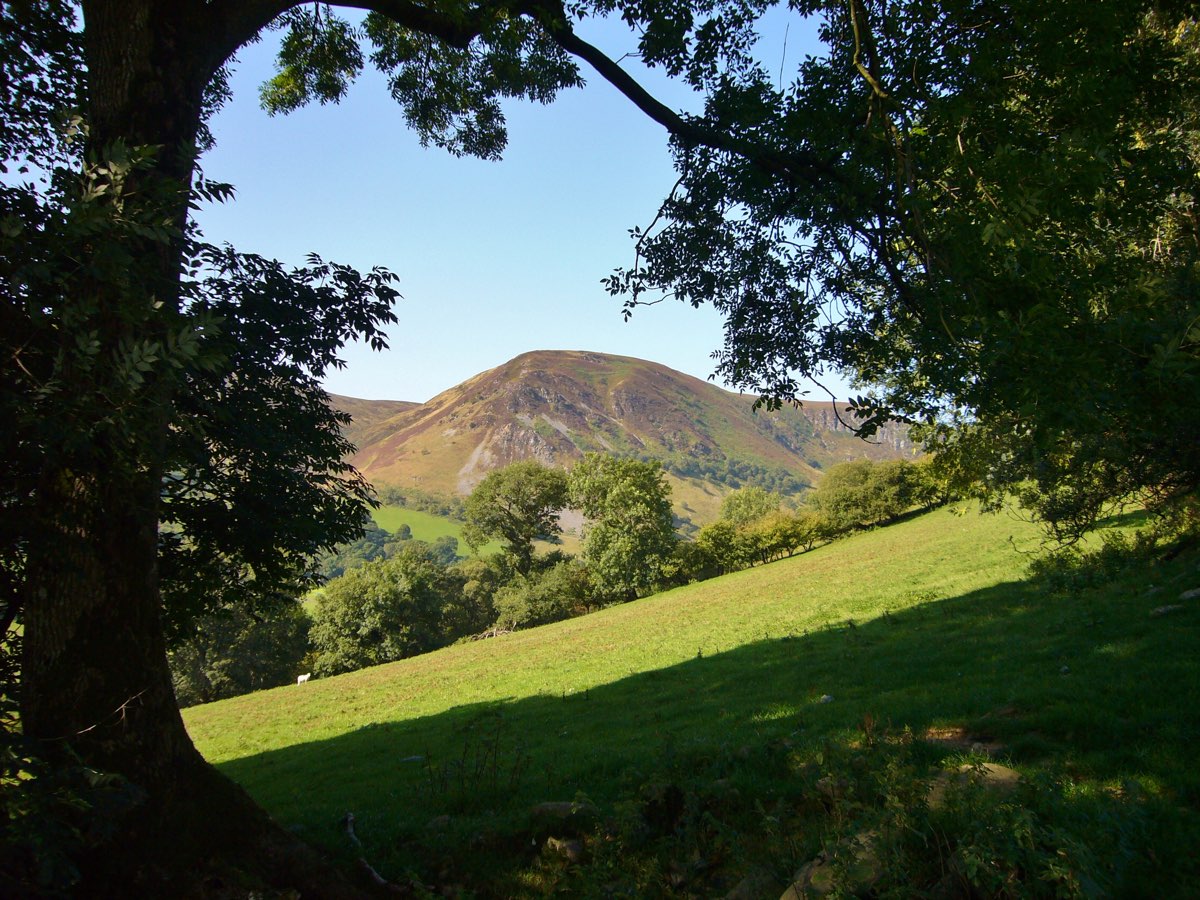 view framed mountain 1108.jpg