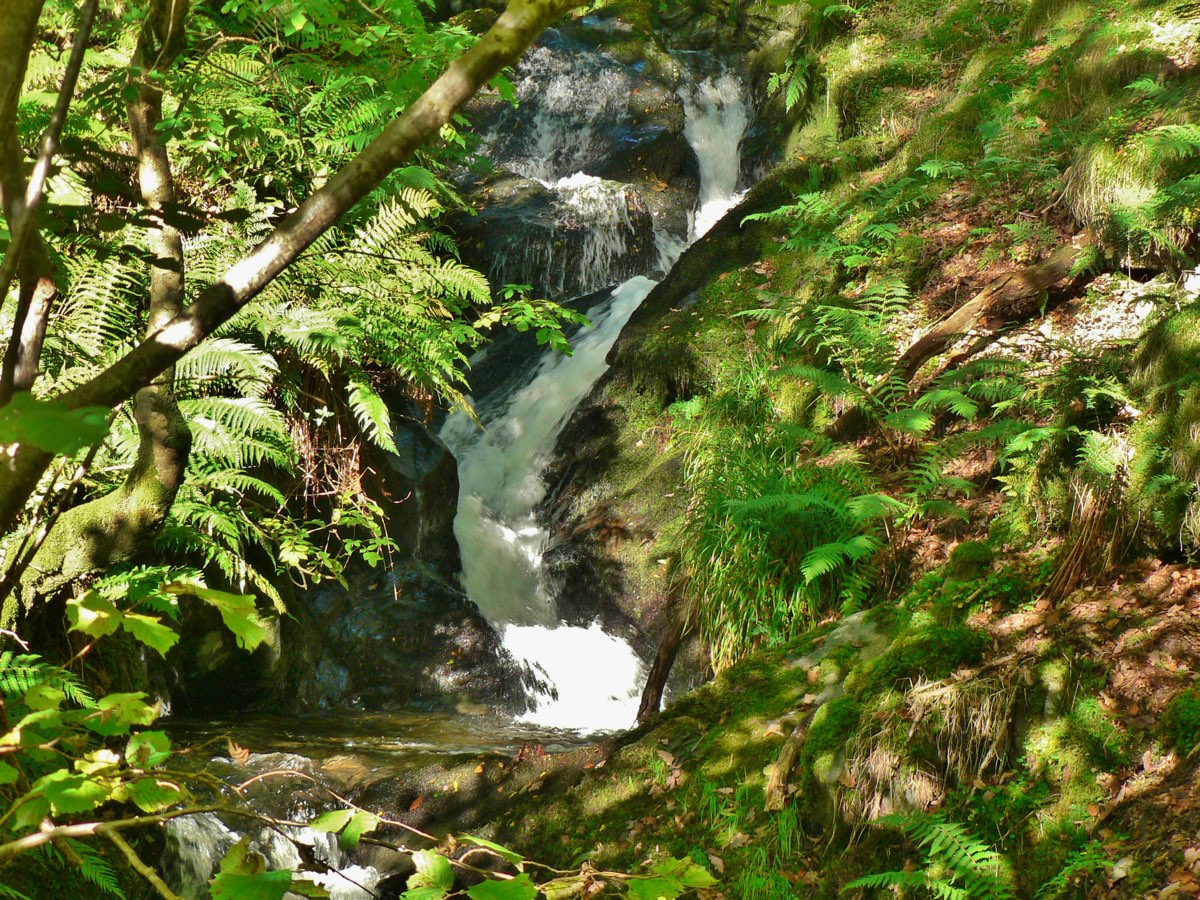stream cascade 1012.jpg