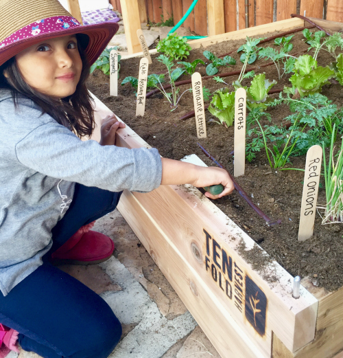 Sofia - Giveback Garden 