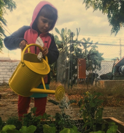 Katherine the Brave - Giveback Garden