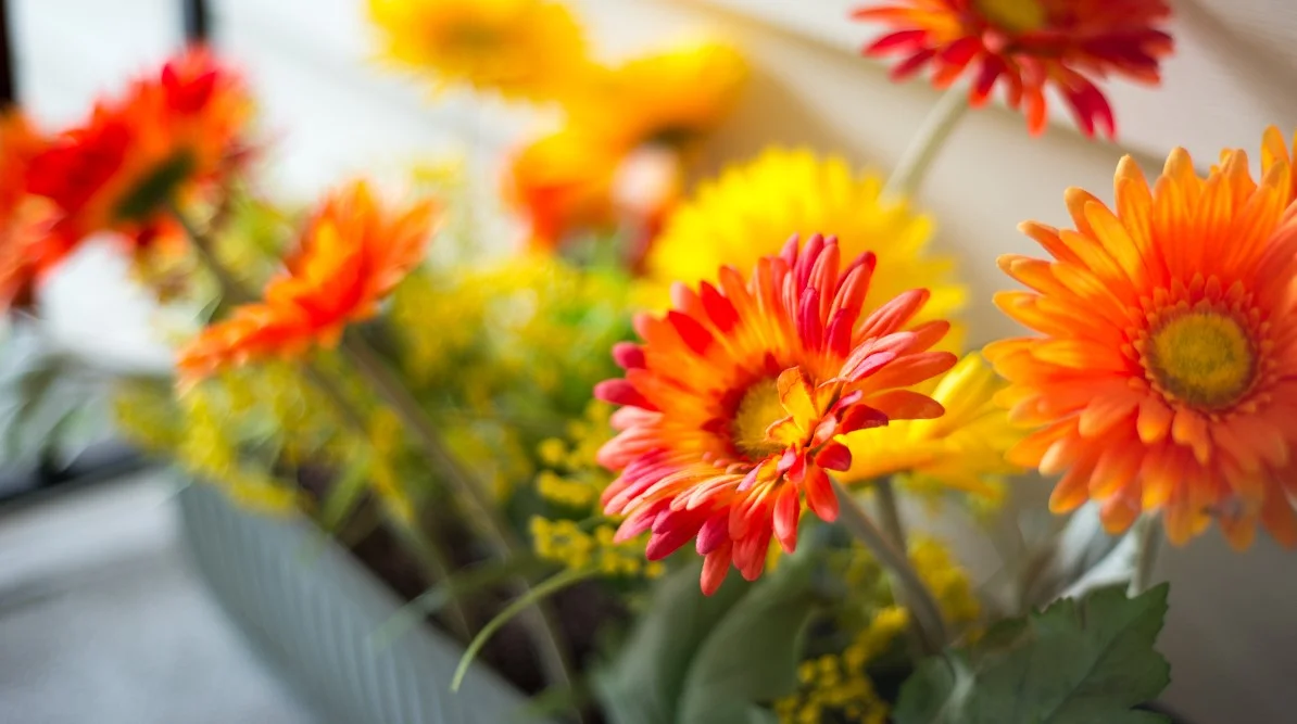 Monthly Beginners' Crash Course: Introduction to Meditation