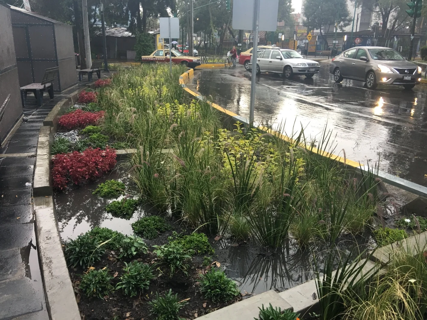 Jardín Infiltrante operando bajo la lluvia