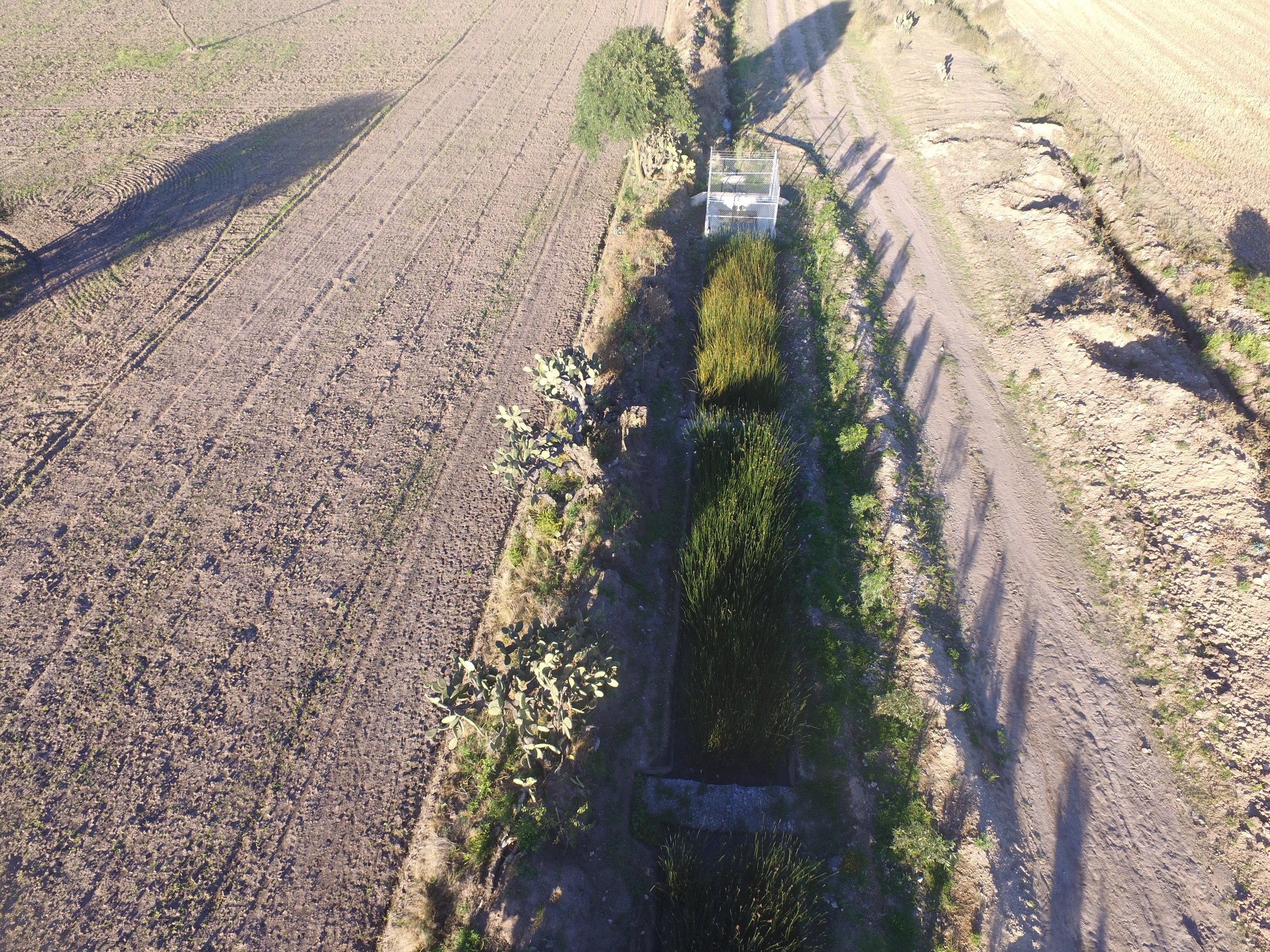 Aprovechamiento de Aguas Residuales mediante el Uso de Biofiltros en el Valle de Apan, Hidalgo, México