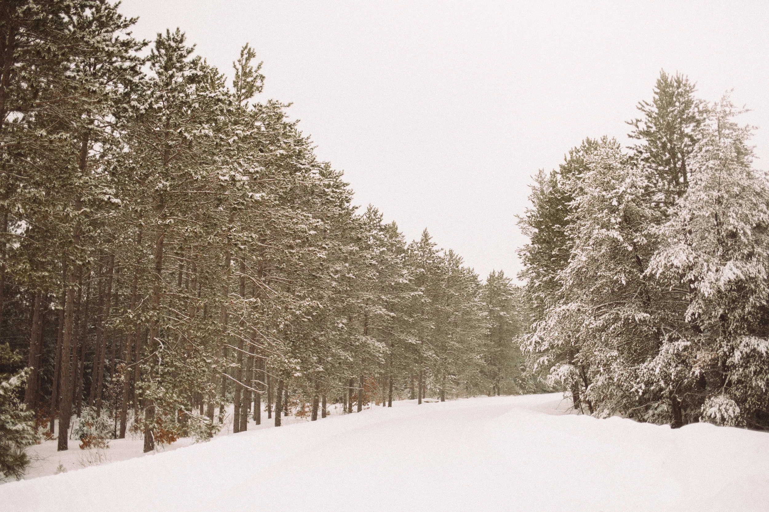 NSR_ROAM_Cabin3_201903-3M1A0149.jpg