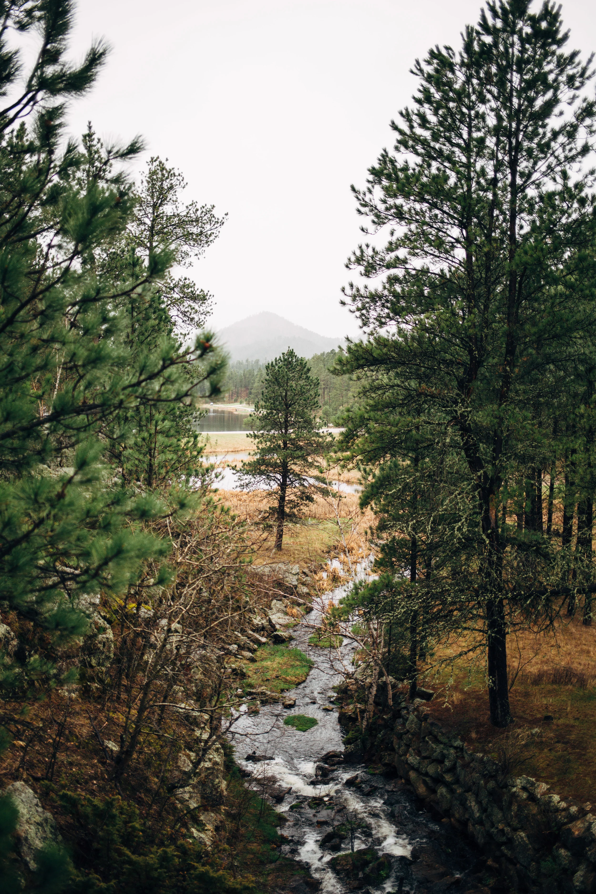 NSR_HappyScamper_RoadTrip_lowres-NSR_1712.jpg