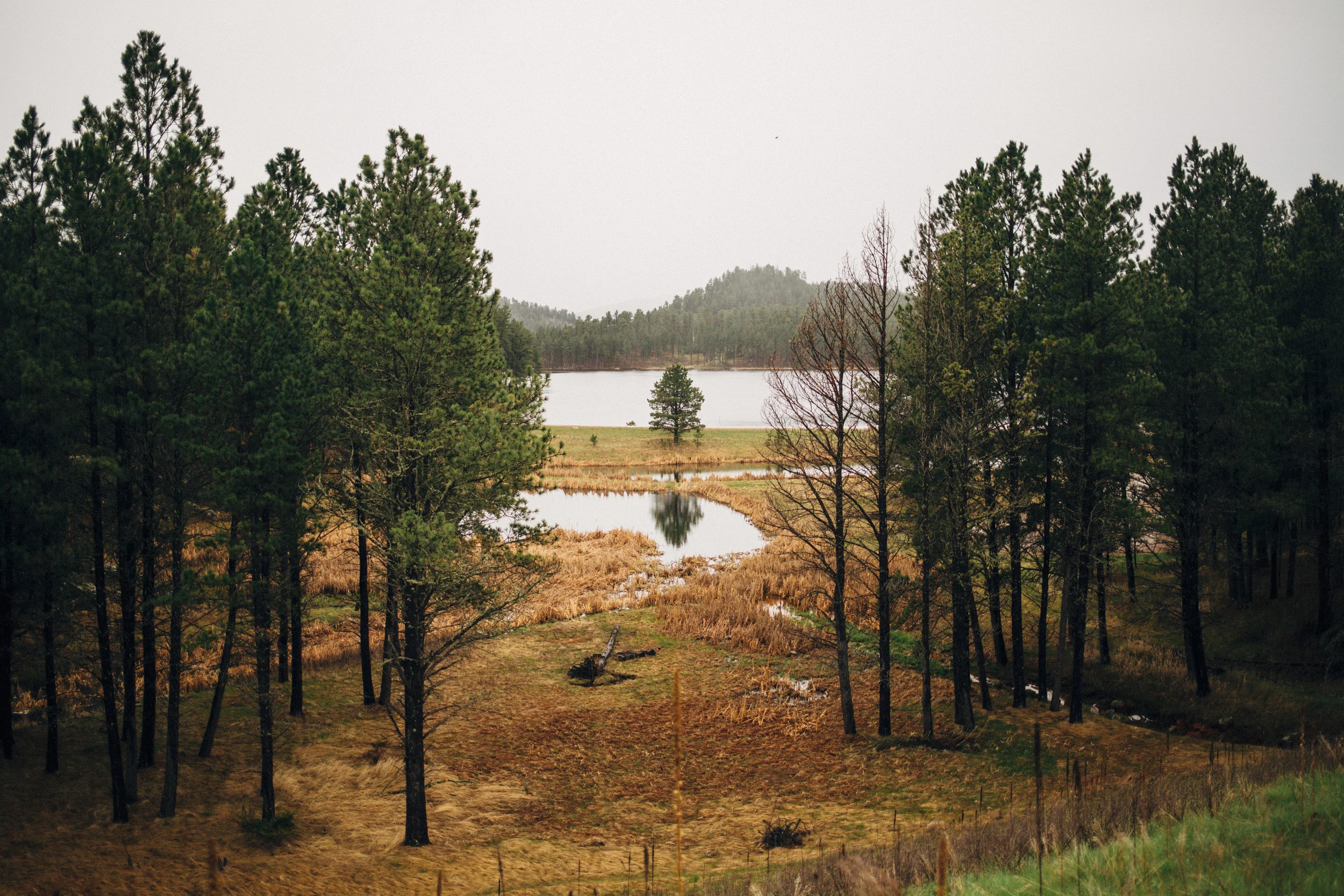 NSR_HappyScamper_RoadTrip_lowres-NSR_1764.jpg
