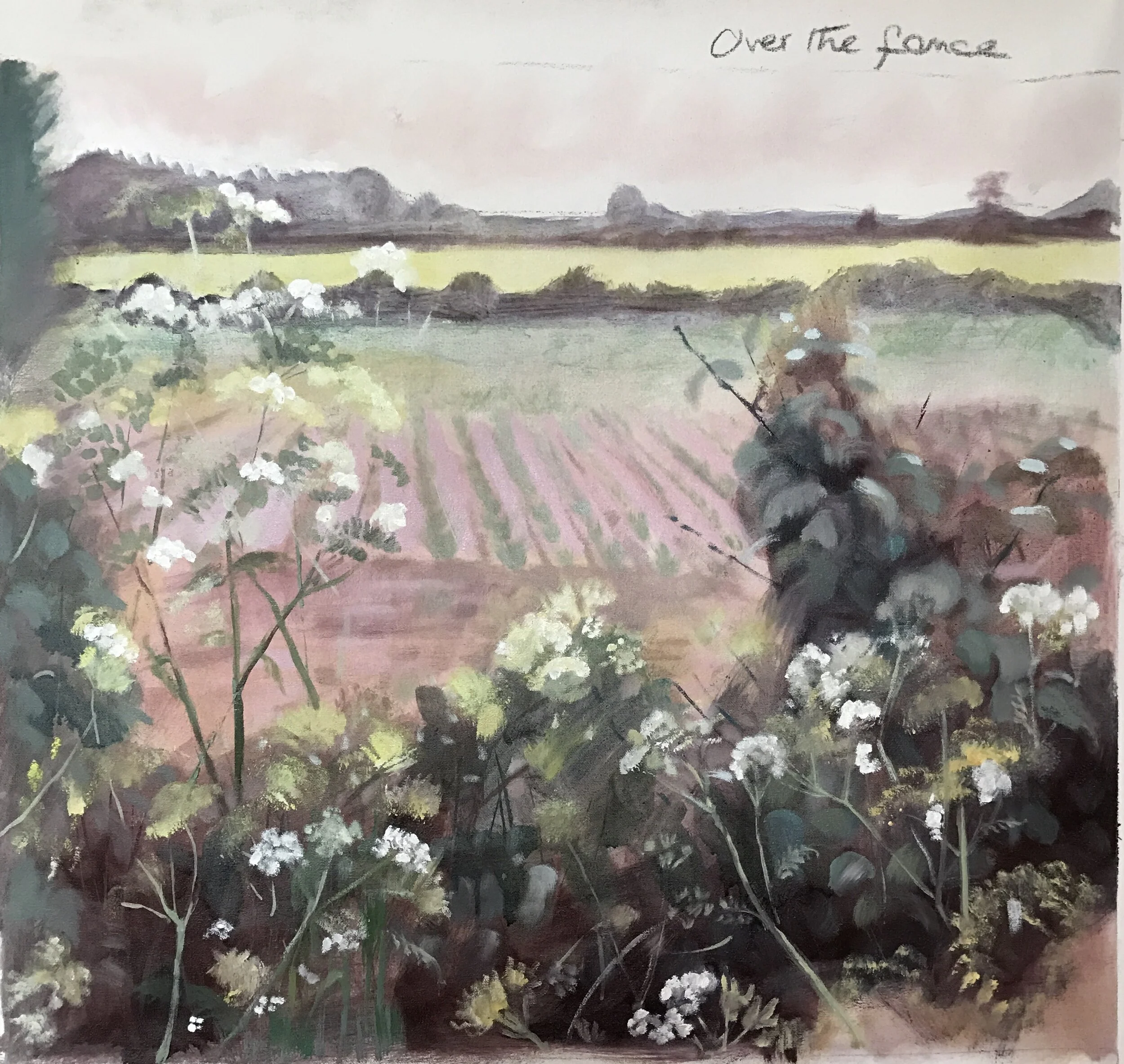 Over the hedge -East Anglia