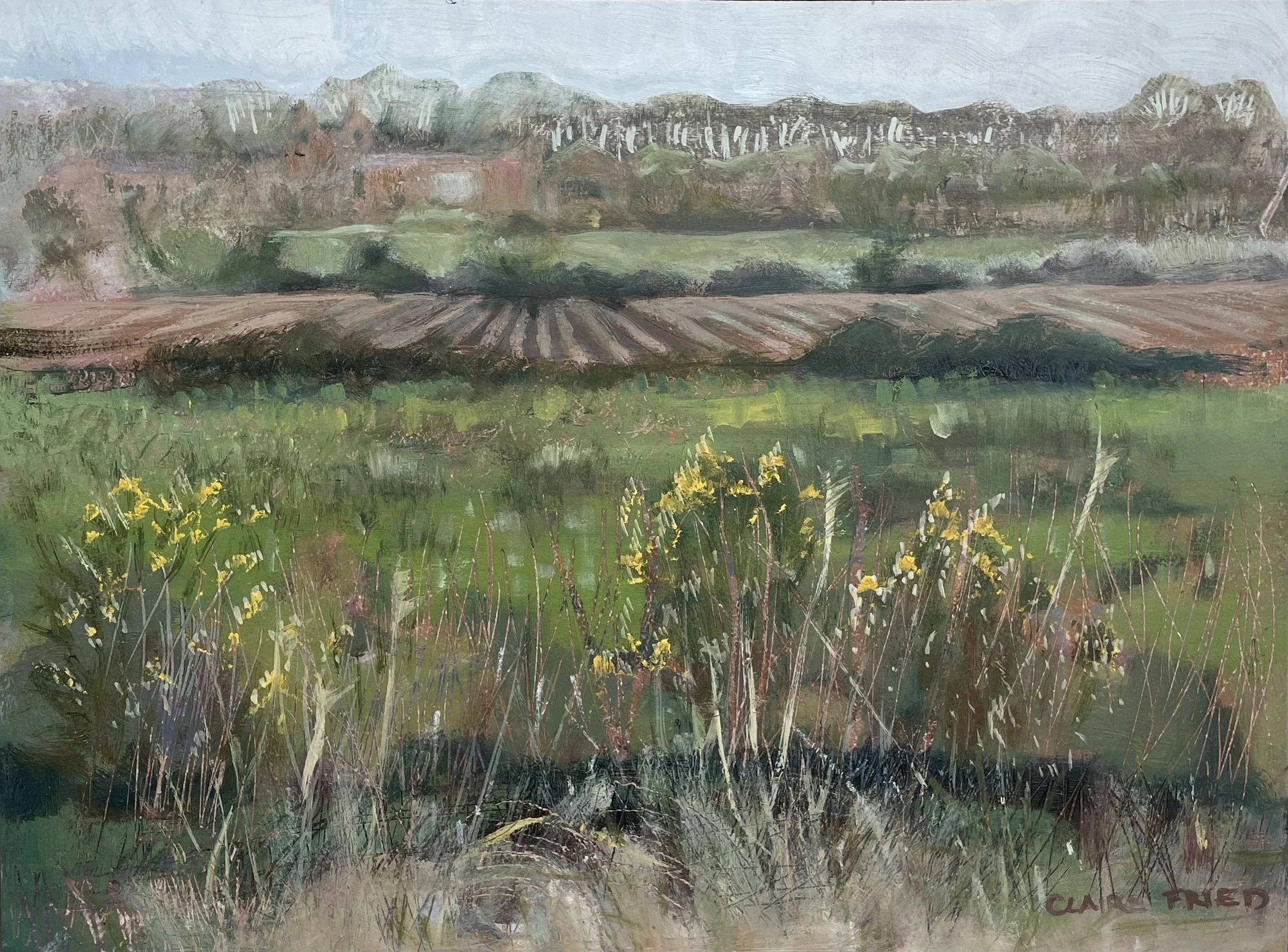 Towards Hill Farm II