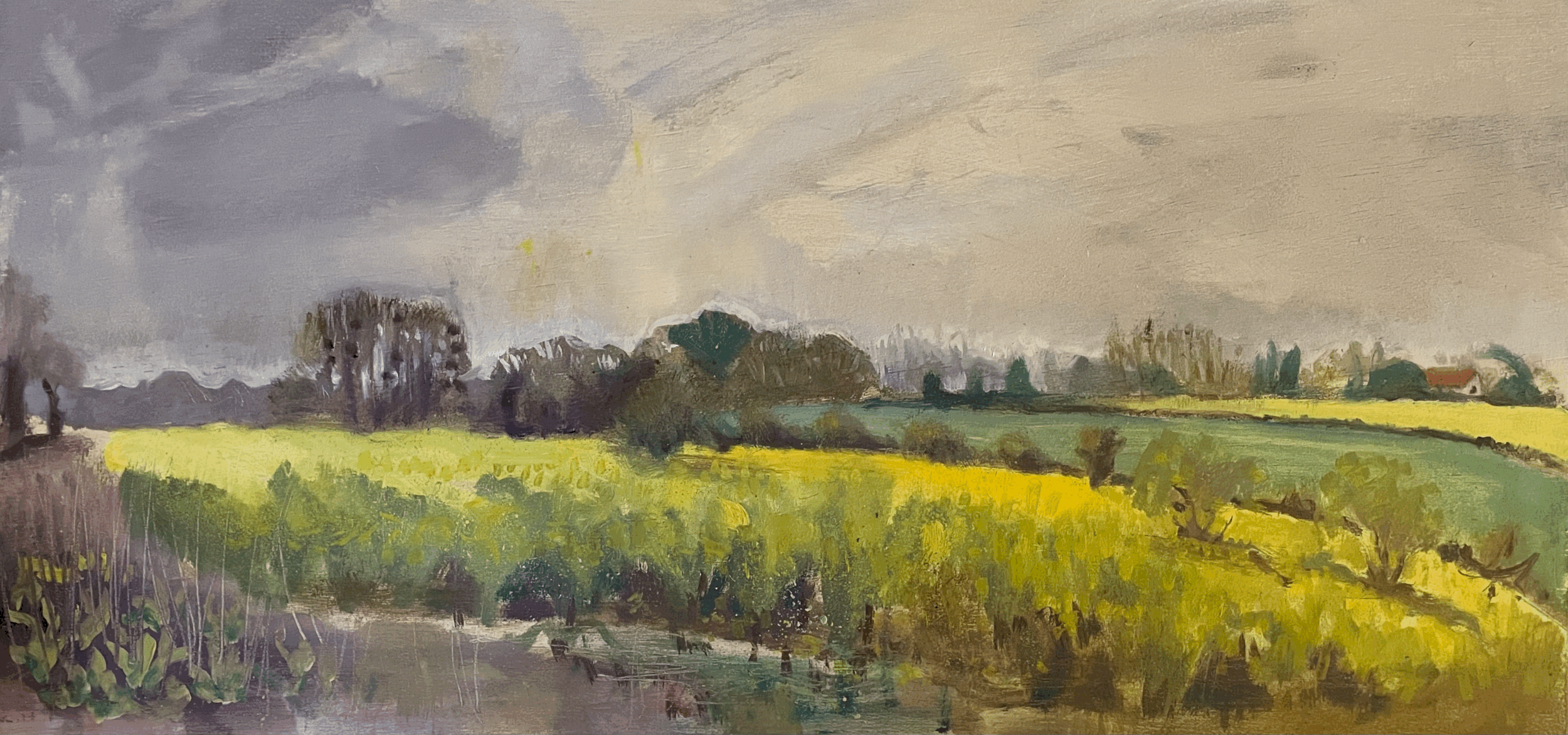 Yellow field of Aspal