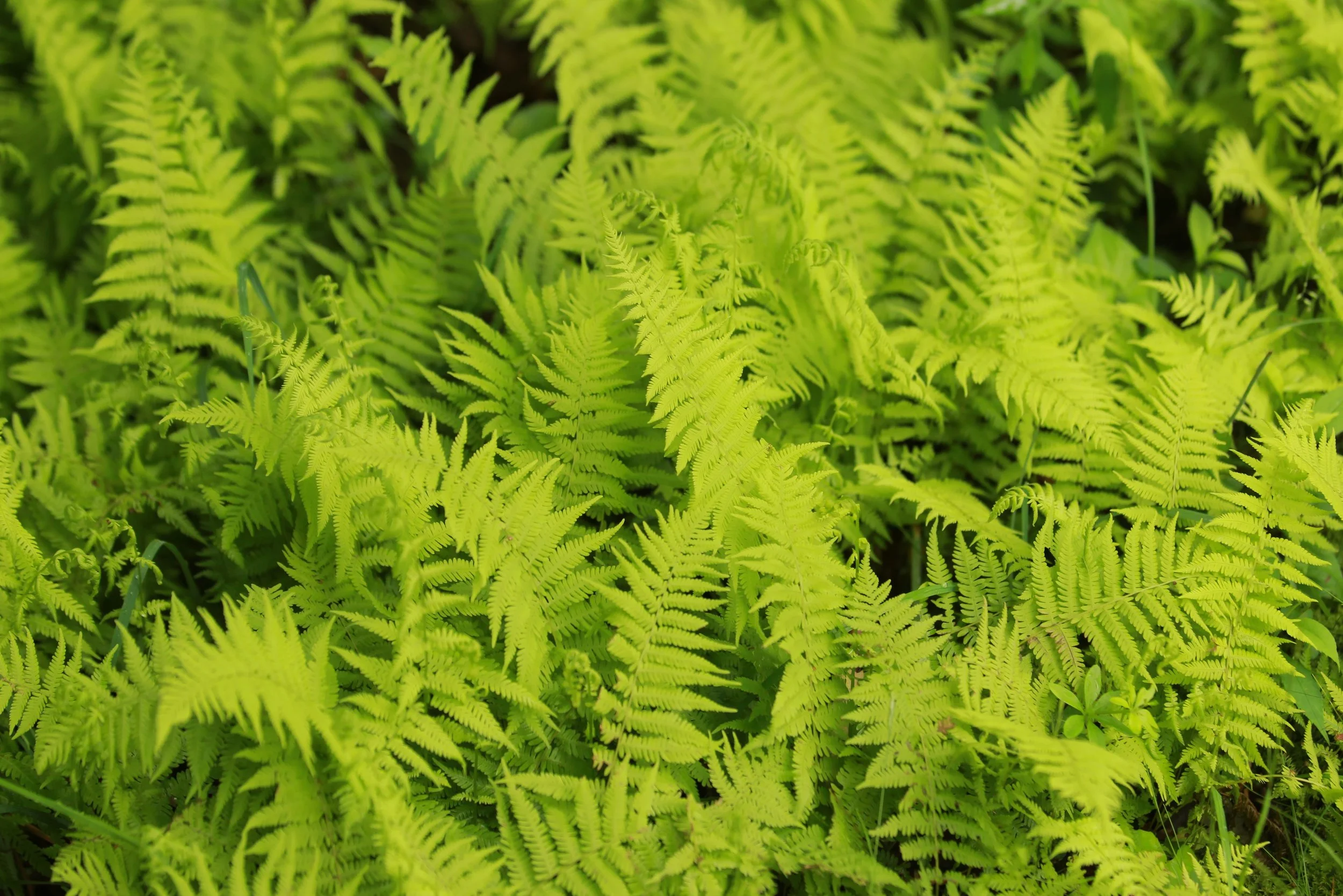 AB9E4902.jpg
