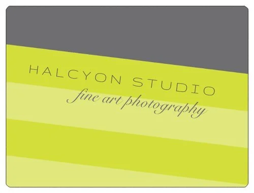 HalcyonStudioLabel.jpg