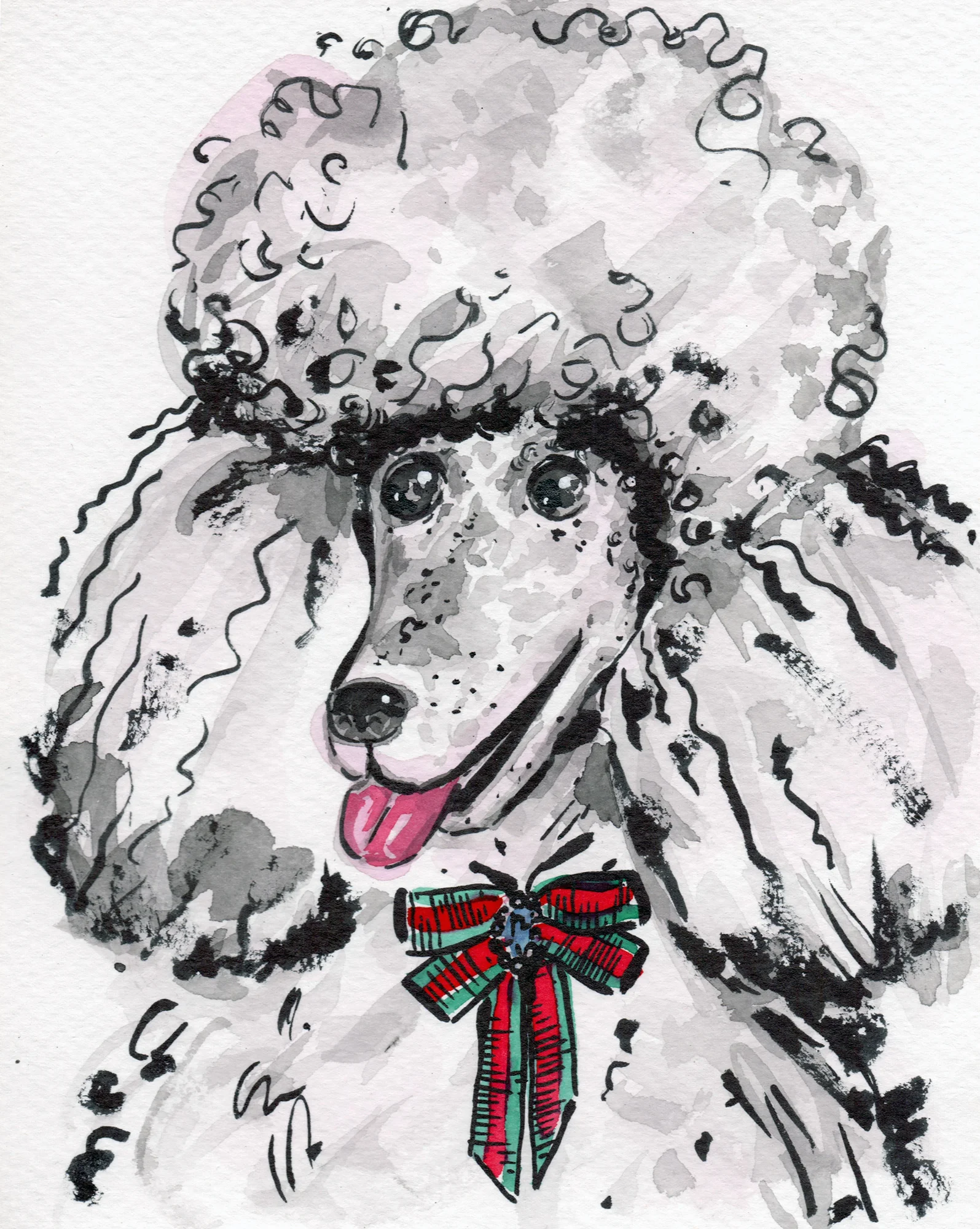 gio the poodle
