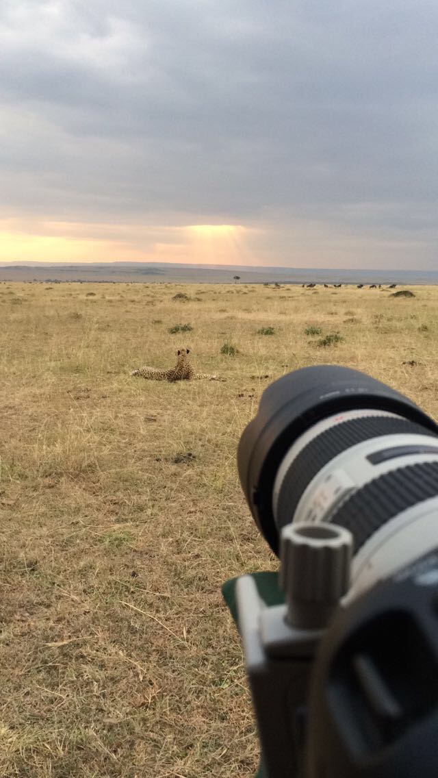  Kenya 2015 