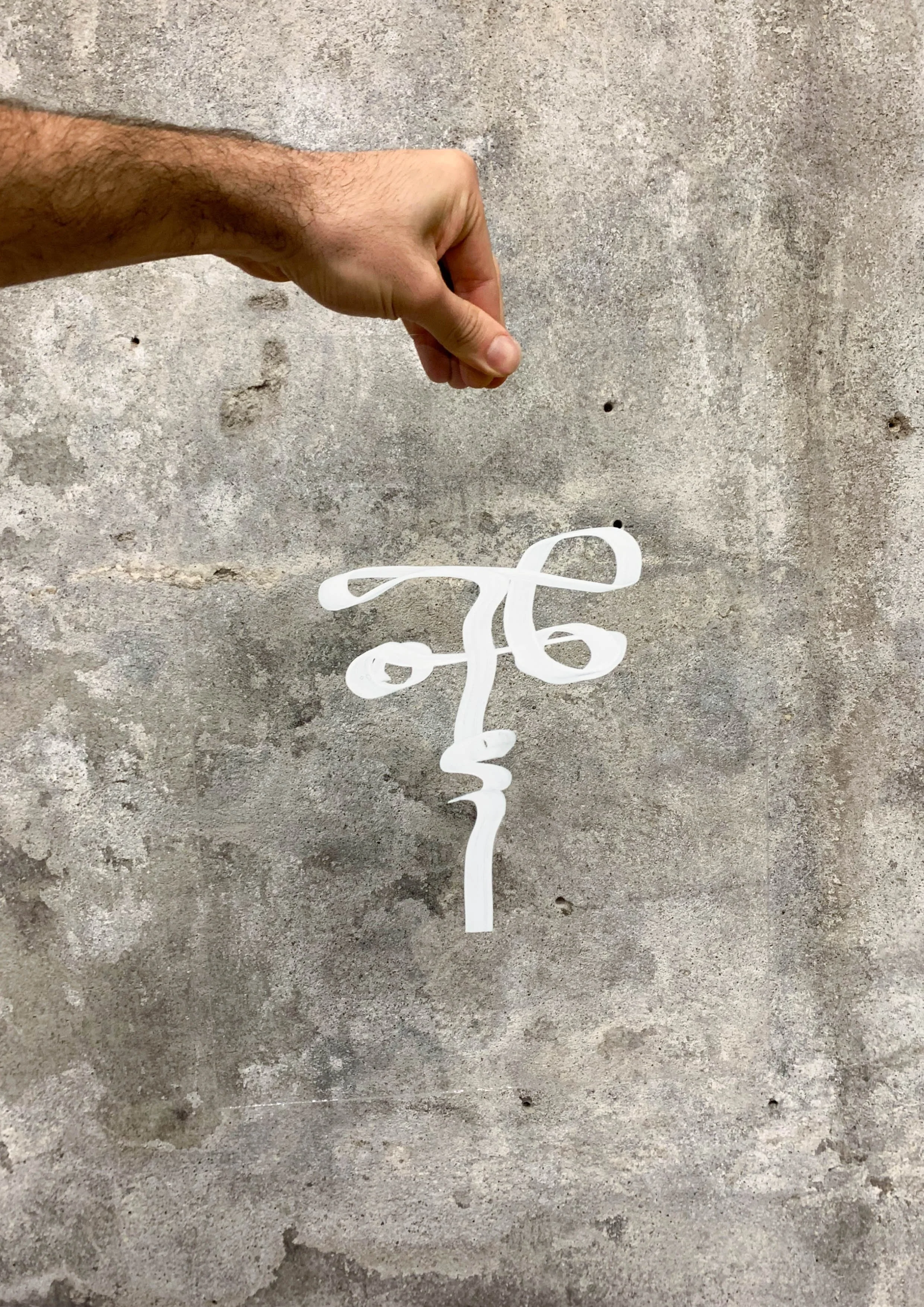 COLLECTION_FACE ON GLASS_FRONT_01.JPG