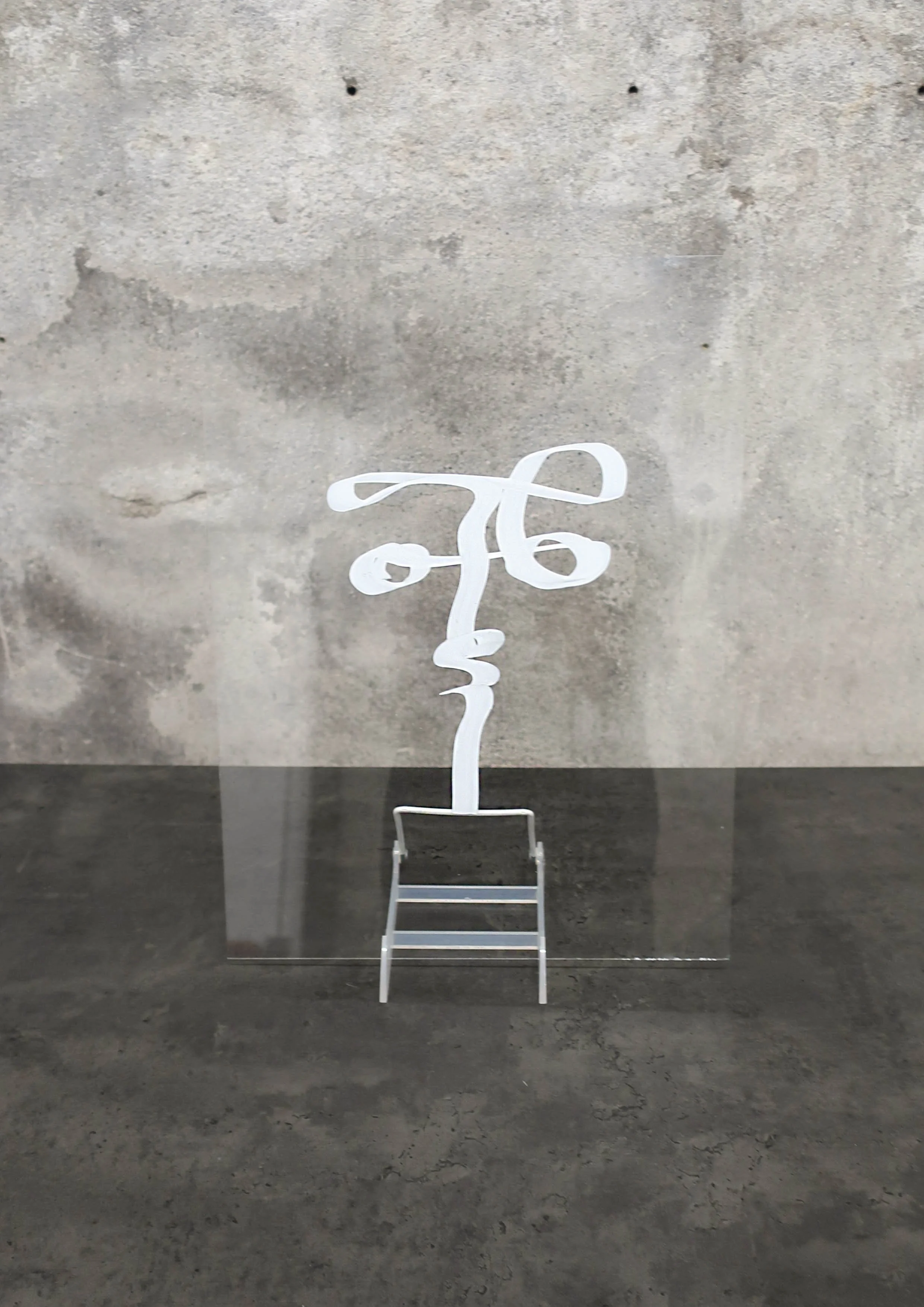 COLLECTION_FACE ON GLASS_FRONT_04.JPG